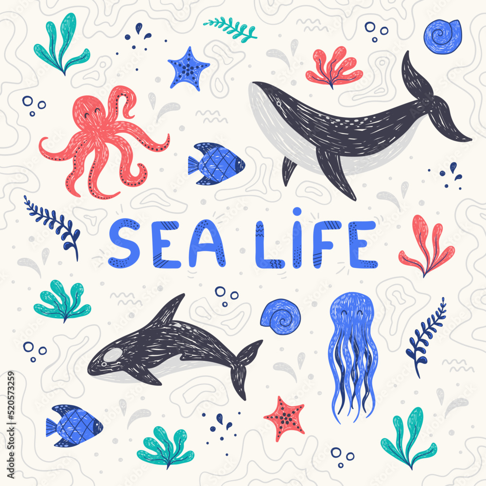 Fototapeta premium Vector illustrations of cute sea animals, ocean inhabitants, kids set for girls and boys, cartoon whale, killer whale, jellyfish, starfish, coral. Set of hand drawn marine elements.
