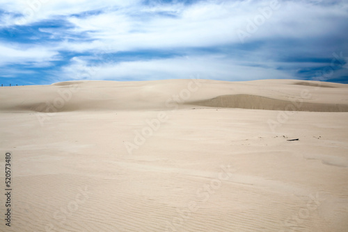moving sand dune in Slowinski National Park, Leba, northern Poland