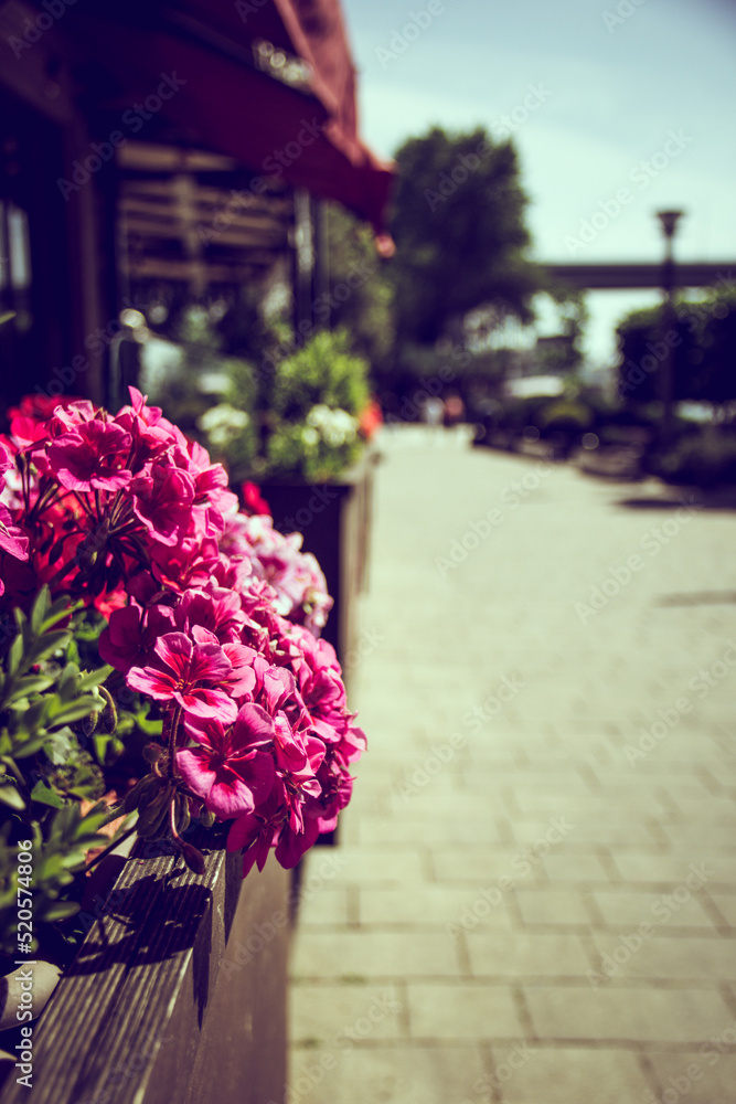 Blurred summer sunny city background.