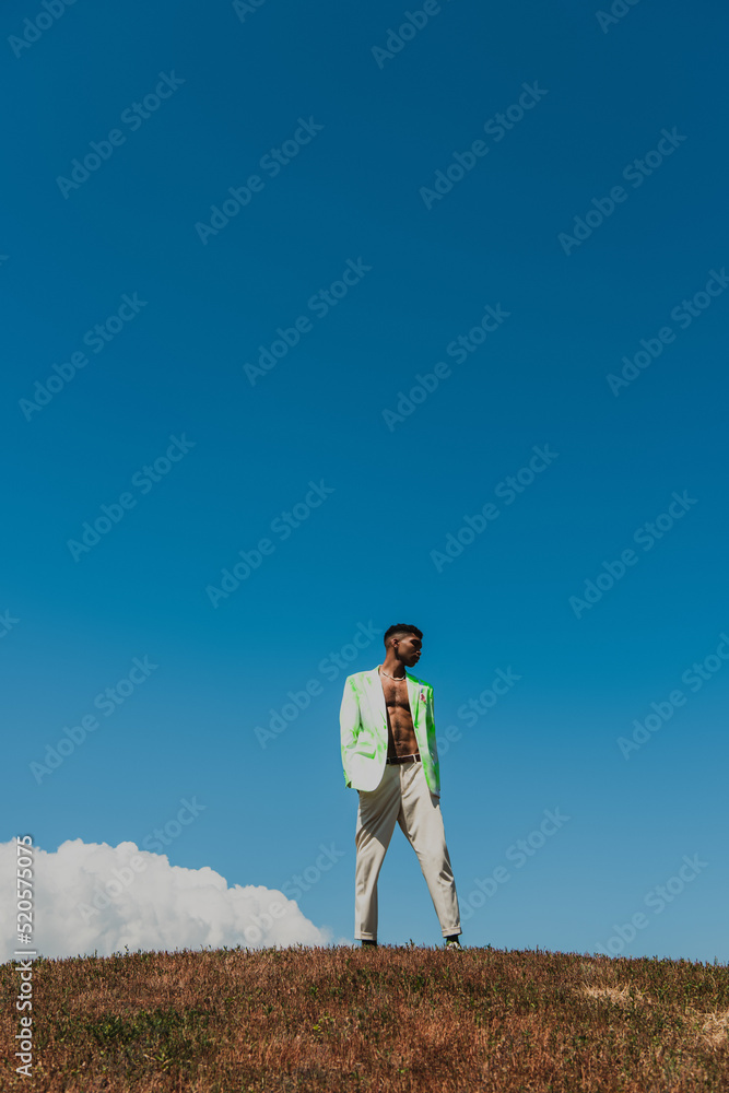 young and fashionable african american man in grassy field under blue sky young and fashionable african american man in grassy field under blue sky