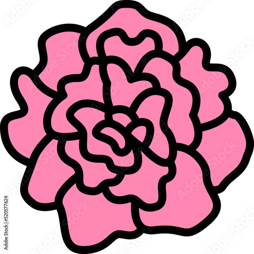 carnation color outline icon