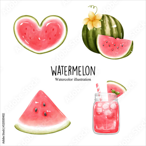 watercolor watermelon, fruit vector illustration