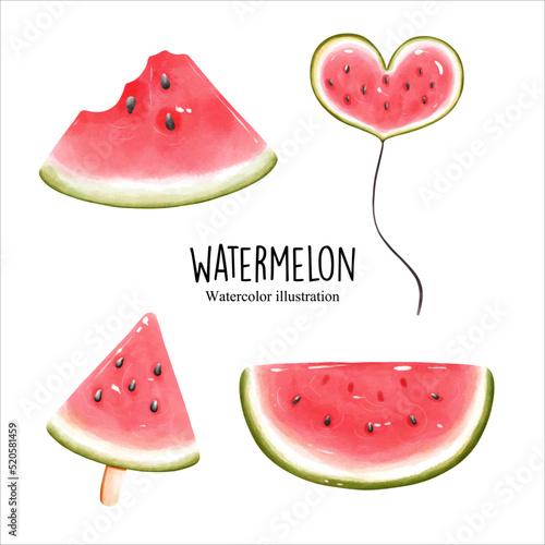 watercolor watermelon, fruit vector illustration