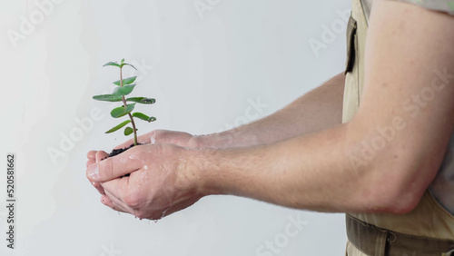 Copped view of gardener holding wet plant with soil on grey background