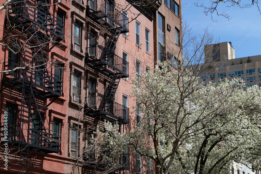 Fototapeta premium Row of Old Brick Residential Buildings on the Upper East Side of New York City with Fire Escapes and Flowering Trees during Spring