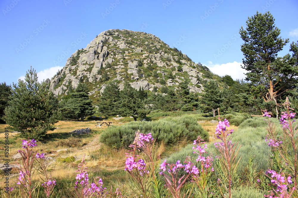 Obraz premium Mont Gerbier De Jonc, Ardèche, Auvergne Rhône Alpes, Sources de la Loire, France