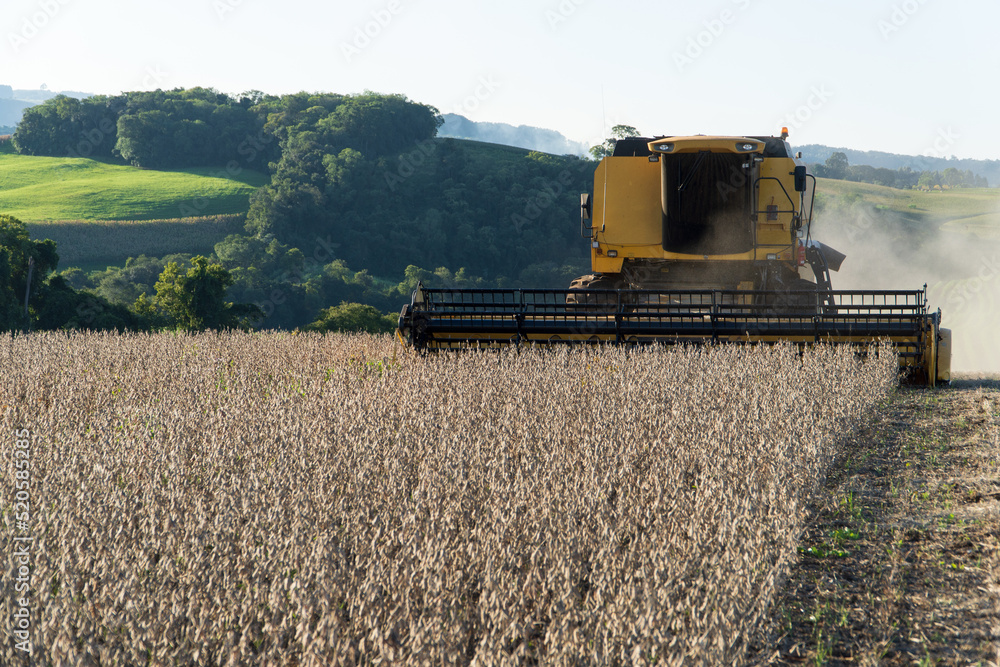 Fototapeta premium Soybean harvest with harvester in southern Brazil
