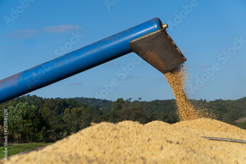 Combine soybean harvester loading soybeans into truck