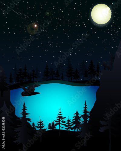 Night forest landscape