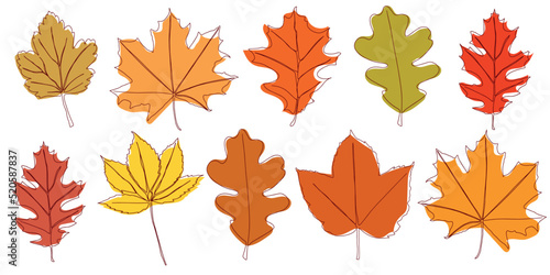 A set of autumn leaves drawn with a continuous line. Autumn leaf in one line style icon vector illustration design