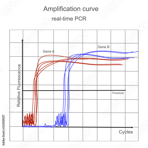 The amplification graph of real-time PCR technique that represent the detection curve of Gene A and B at different cycle threshold (ct)