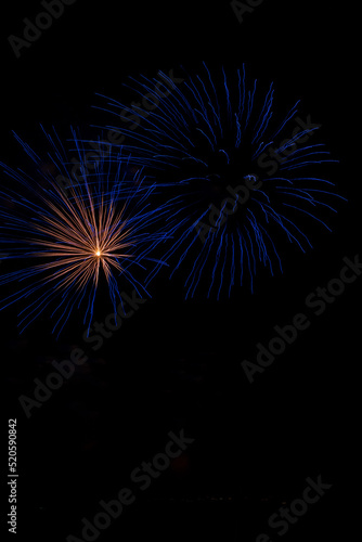 Wallpaper Mural fireworks in the night sky Torontodigital.ca