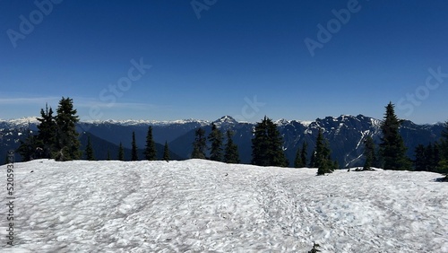 Beautiful snow-covered landscape view of Hollyburn mountain under the blue sky photo