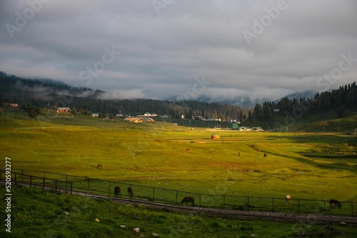 Gulmarg, known as Gulmarag in Kashmiri, is a town. photo