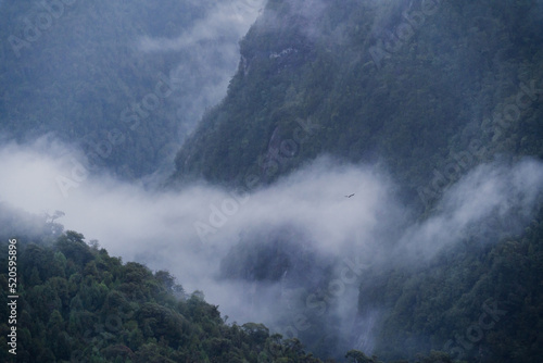 Road between Hornopiren and Chaiten, traveling the Carretera Austral in the winter of 2022