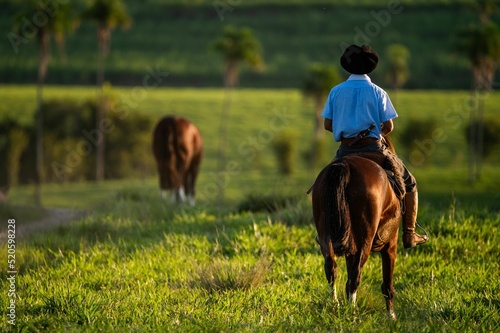 Back view of a gaucho riding a horse in the countryside photo