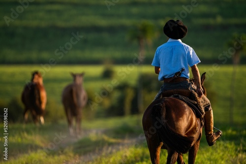 Back view of a gaucho riding a horse in the countryside photo