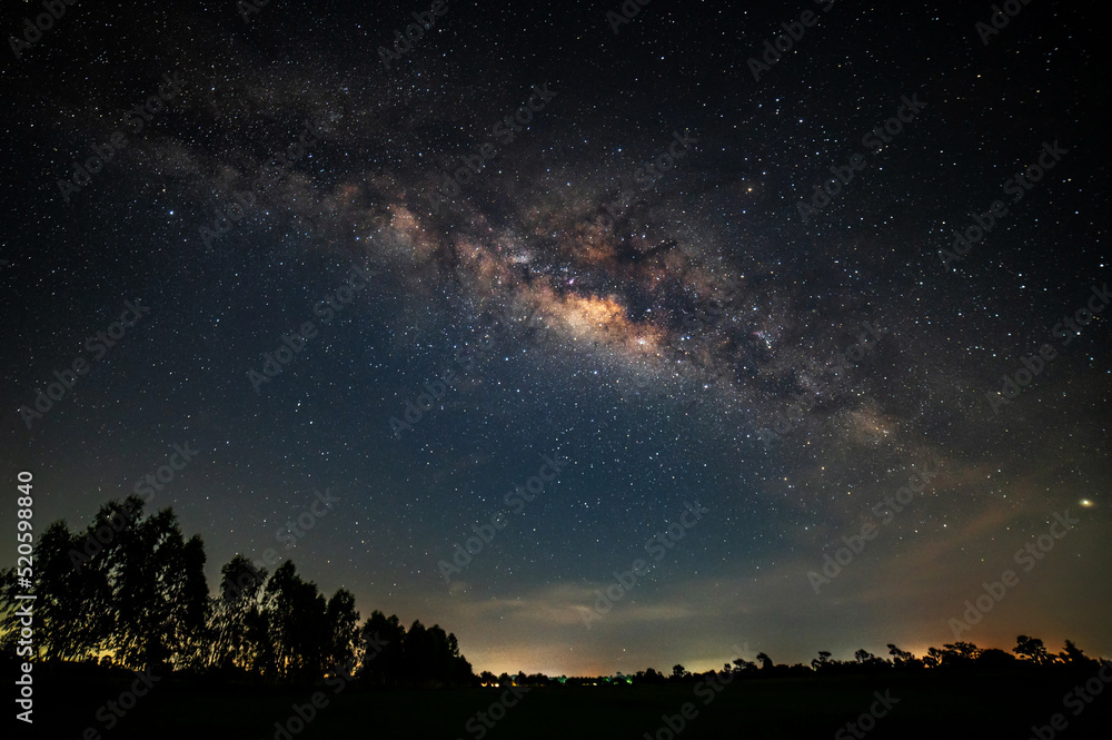 Blue night sky.Trees and complete milky way and star on dark background.with grain and select white balance. Blue night sky.Trees and complete milky way and star on dark background.with grain and select white balance.