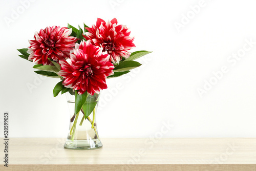 Fotobehang A bouquet of red dahlias in a glass vase.