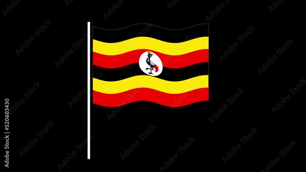 Uganda flag seamless loop animation. Waving flag on black background. Uganda flag seamless loop animation. Waving flag on black background.