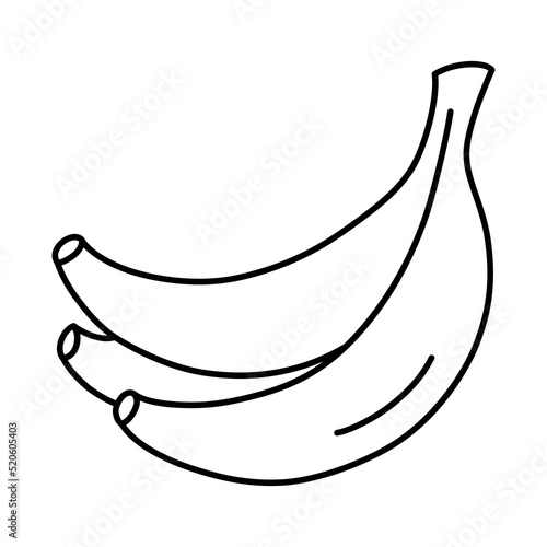 Hand drawn doodle banana icon, linear fruit drawing, vector doodle illustration of bunch of bananas, isolated outline clipart on white background, healthy organic garden food