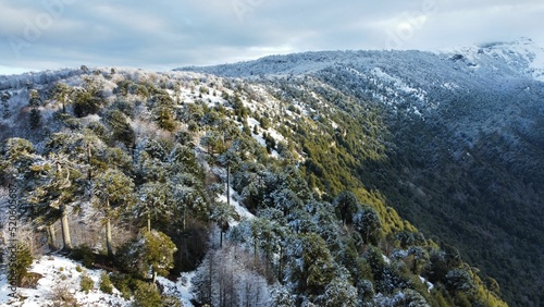 Scenic aerial view of mountains in Lonquimay, Chile photo