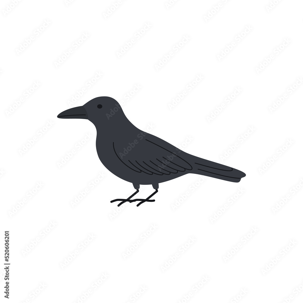 Fototapeta premium Black raven or crow as symbol of bad luck or misfortune, flat vector illustration isolated on white background.