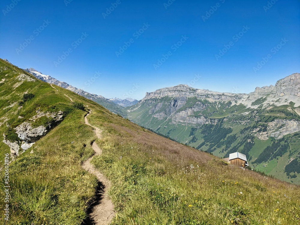 hiking trail from the Fisetenpass in Uri. Beautiful path through the alp meadows in summer. Wanderlust in Switzerland. High quality photo