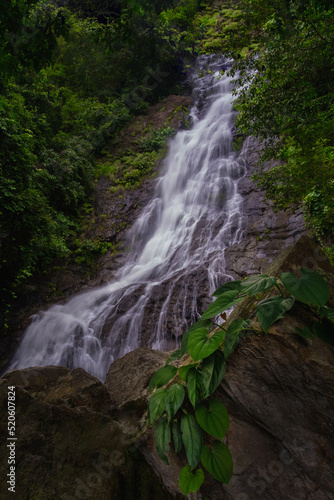 Stream waterfall on rocks in the forest. Waterfall stream on rocks. Beautiful waterfall stream. Waterfall stream in forest Thailand