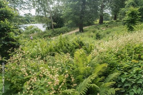 Staffordshire Lakeside Floral  Display photo