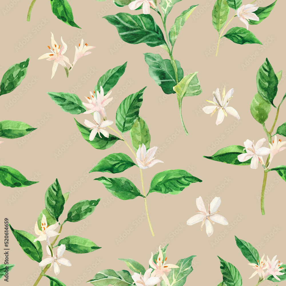 Watercolor hand painted coffee tree branch, flowers and beans. Coffee plant. Ripening of coffee berries. Watercolor hand drawn seamless pattern, wallpaper, wrapping paper