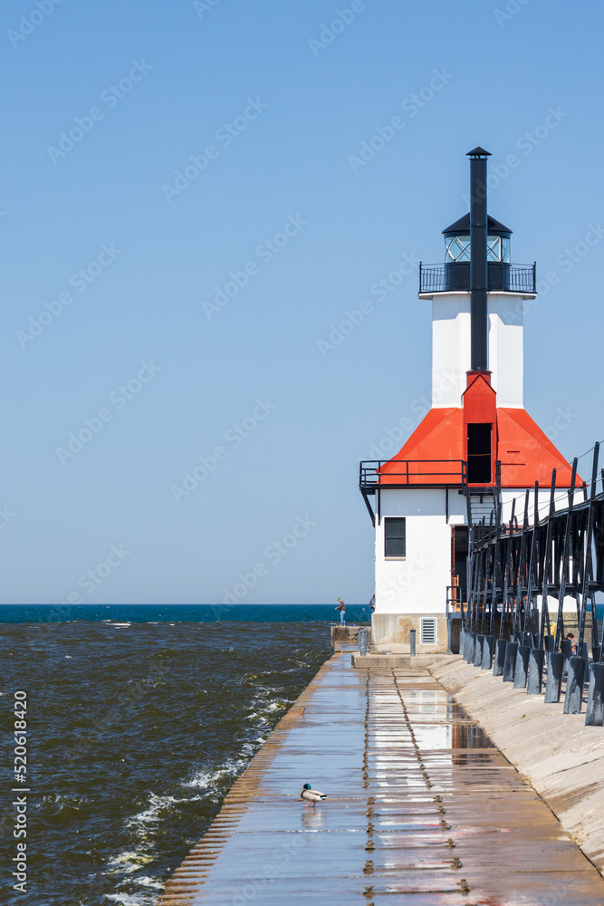 Mallard sitting on breakwater at St. Joseph North Pier Lighthouse, Michigan