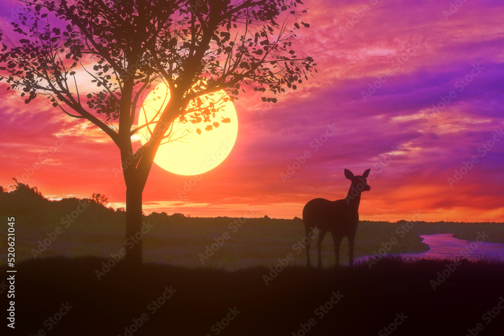 Silhouette deer standing nearly big tree with beautiful sunset twilight sky background