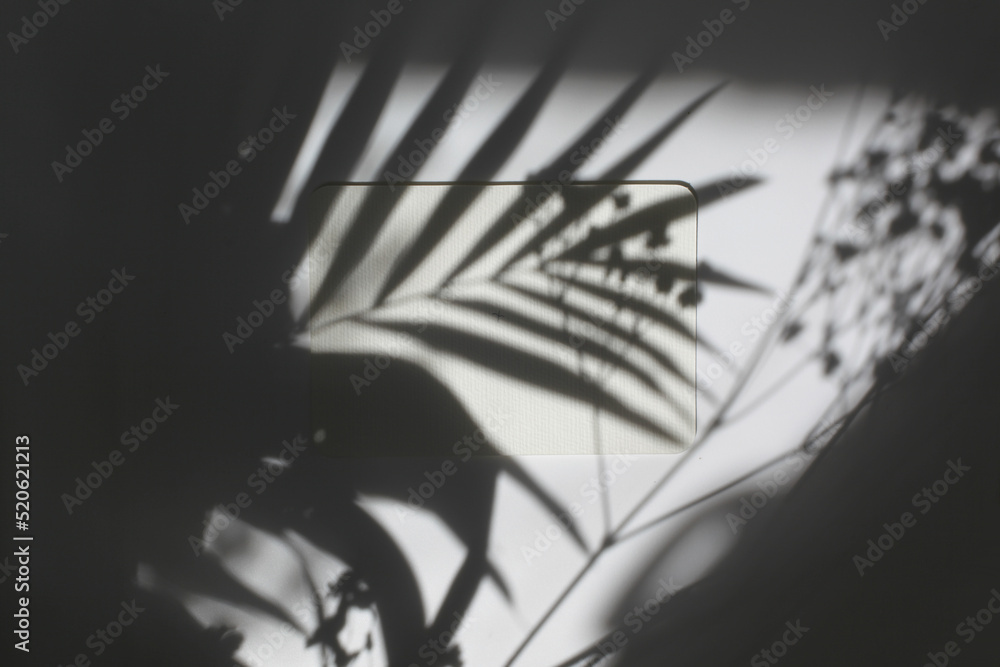 Light and shadows leaf palm reflection. Empty Blank texture canvas paper card with copy space. Minimalism template background. Light and shadows leaf palm reflection. Empty Blank texture canvas paper card with copy space. Minimalism template background.