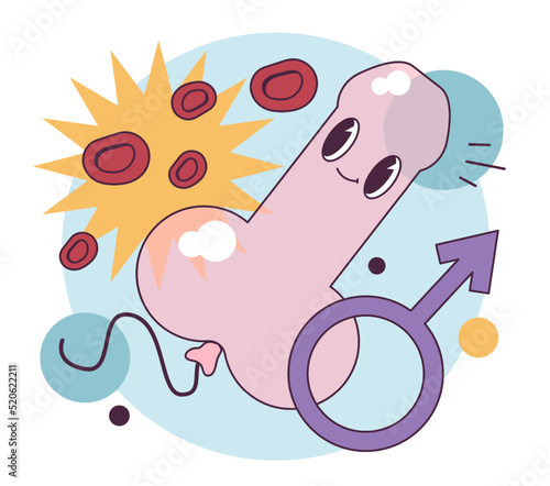 Erection. Erected penis concept. Blood flow to healthy male reproductive