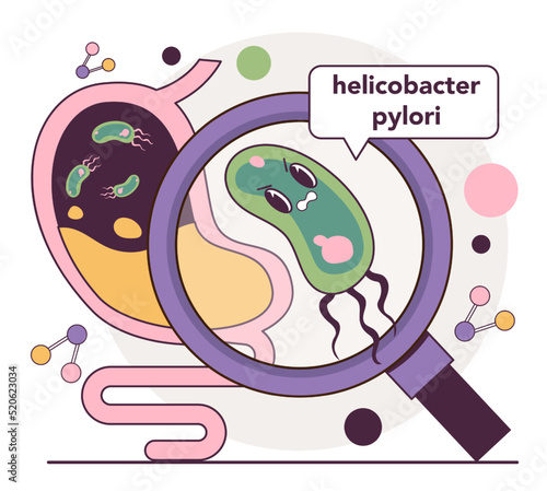 Helicobacter pylori in the stomach. Bacterium with flagella that causes