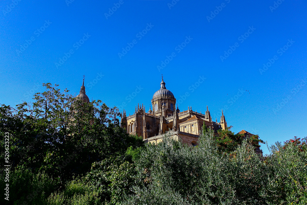 Distant view of the cathedral in Salamanca, Spain, over the trees on a sunny day with a bright blue sky
