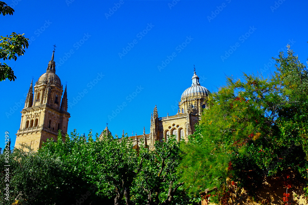 Close view of the cathedral in Salamanca, Spain, over the trees on a sunny day with a bright blue sky