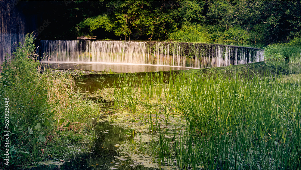 Waterfall near a swamp pond