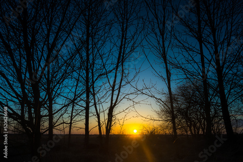 Sunset in the Narew River valley in thee  Sunset in the Narew River valley in the Narew National Park.   © Zdzislaw