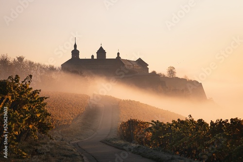 Road taking to a fortress in a fog surrounded by a  vineyard during twilight Fototapet