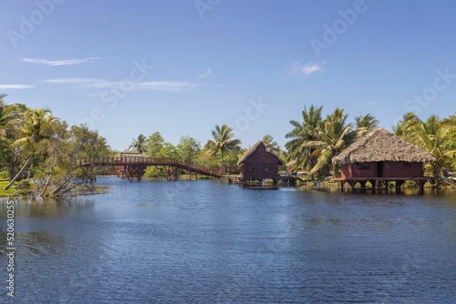 Photography Huts and tropical nature on the Zapata Swamp coast in Cuba