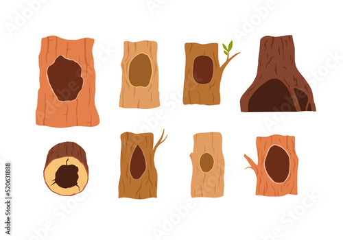 Hollow, a hole in a tree, a set of illustrations on a white background, a vector flat.