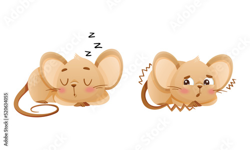 Little Mouse Character with Long Tail and Big Ears Shivering with Fear and Sleeping Cuddling Vector Set