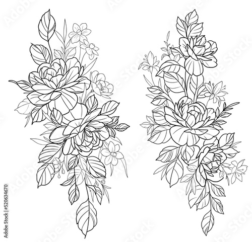 Peony flower bunch outline black and white vector SVG