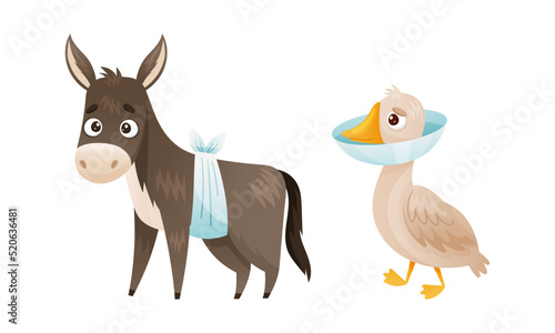 Sick Donkey and Goose Animal with Bandage on Belly and Collar on Neck Vector Set
