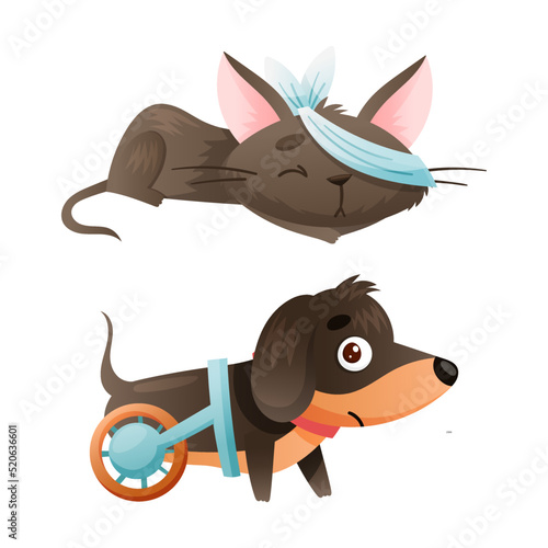 Sick Cat and Dog Animal with Bandage on Eye and Cart or Wheelchair Vector Set
