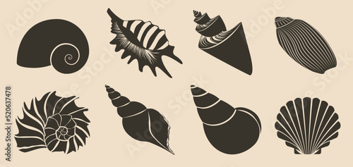 Seashell dark black silhouettes set isolated. Sea shell vector illustration