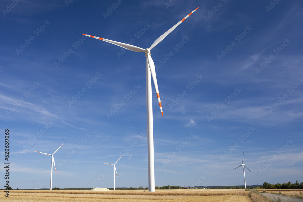Jeden z coraz liczniejszych parków wiatrowych służący do wytwarzania czystej energii elektrycznej