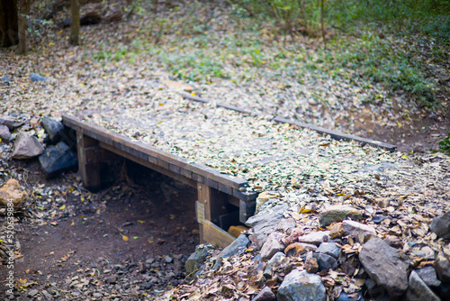 Murais de parede A footbridge over a dry creek in the forest with leaves and leaf litter